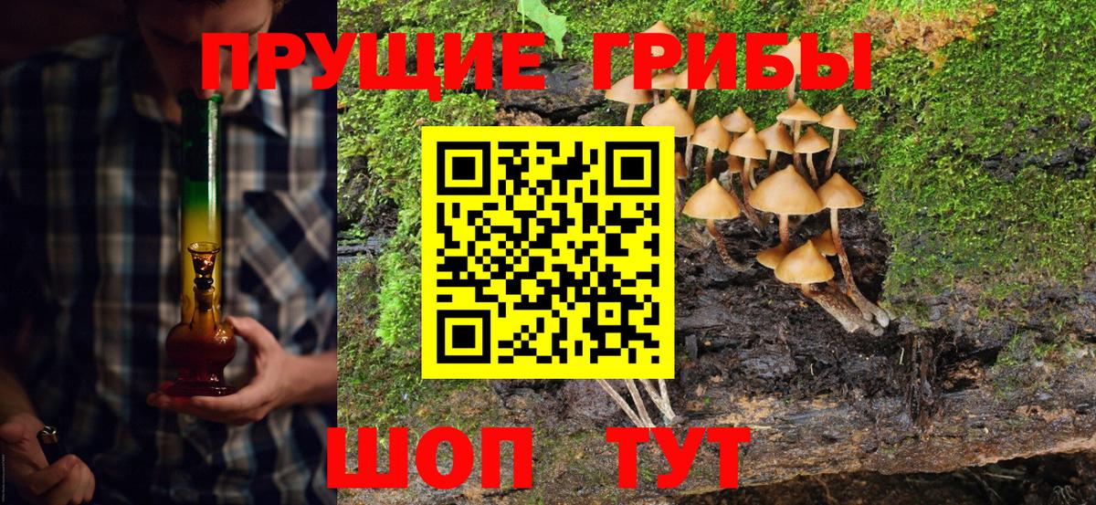 Псилоцибиновые грибы Magic Shrooms  где найти наркотики  Зерноград  Вход с VPN  Галлюциногенные грибы Magic Shrooms 