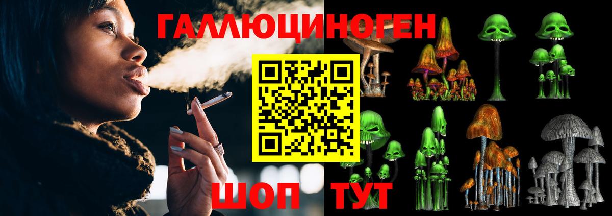 Галлюциногенные грибы Cubensis Зерноград